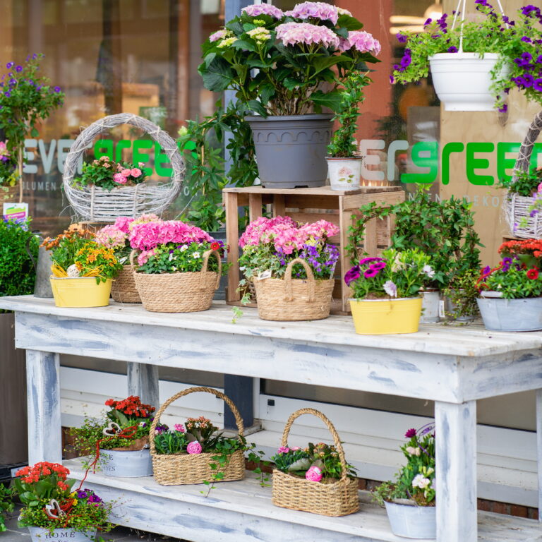 Blumenladen-Schaufenster mit verschiedenen Topf- und Korbarrangements, rosa Hortensien, Petunien und bunten Balkonblumen auf weißem Holztisch
